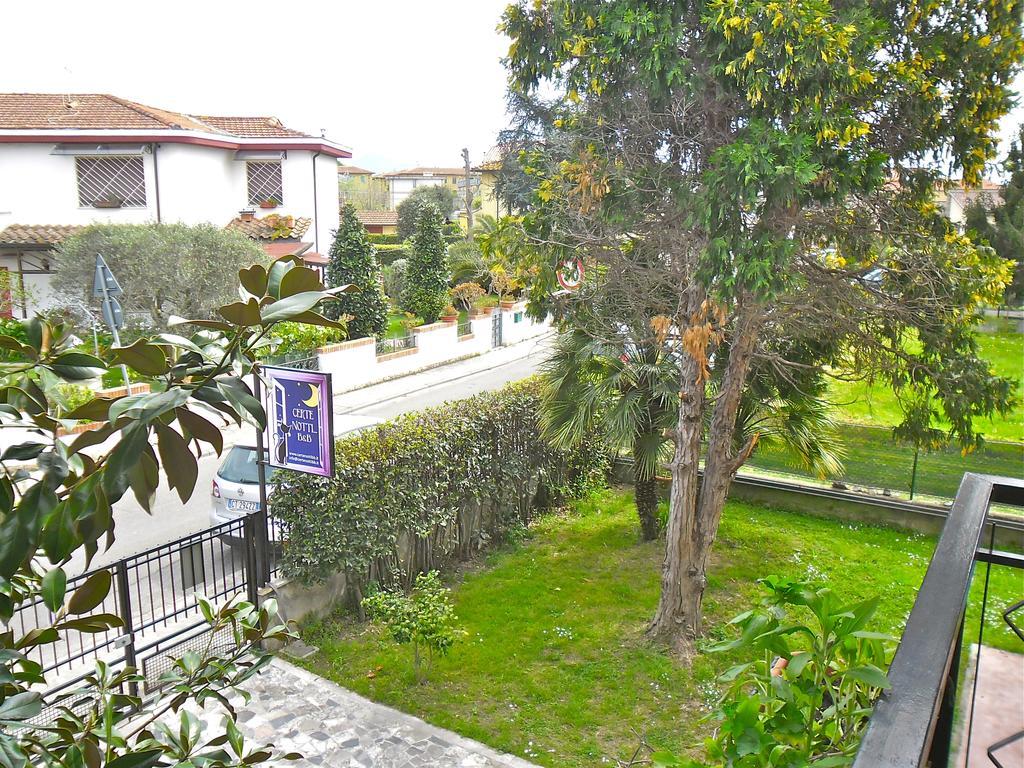 Certe Notti Bed & Breakfast Pisa Exterior photo